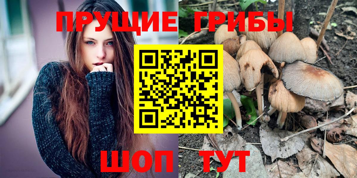 Киселёвск  Псилоцибиновые грибы MAGIC MUSHROOMS  что такое   Вход с VPN 